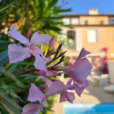 Nieva, Maison De Pecheur Avec Piscine Privee Et Son Bateau * Grimaud